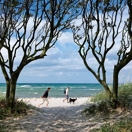 Doppelhaeuser Zum Reetmoor Haus Kirsten Prázdninový dům Insel Poel